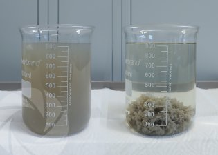 Traitement physico-chimique d'une eau hautement élevée en DCO